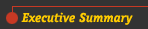 Executive Summary